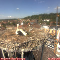 13_15-nest.jpg