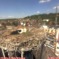 13_20-nest.jpg