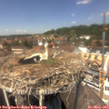 13_25-nest.jpg