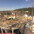 13_30-nest.jpg