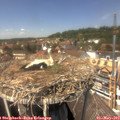 13_40-nest.jpg