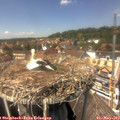 14_00-nest.jpg