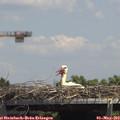 14_05-mast.jpg