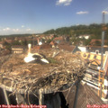 14_05-nest.jpg