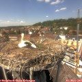 14_20-nest.jpg