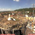 14_25-nest.jpg