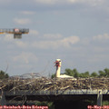 14_30-mast.jpg