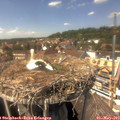 14_30-nest.jpg