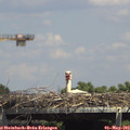 14_35-mast.jpg