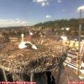 14_40-nest.jpg