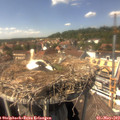 14_45-nest.jpg