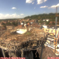 15_05-nest.jpg
