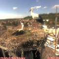 15_40-nest.jpg
