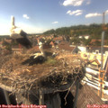 15_55-nest.jpg
