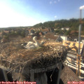 17_20-nest.jpg