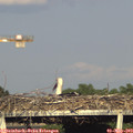 18_30-mast.jpg