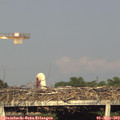 18_55-mast.jpg