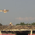 19_00-mast.jpg