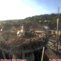 19_00-nest.jpg
