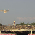 19_05-mast.jpg