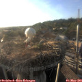 19_10-nest.jpg
