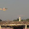 19_30-mast.jpg