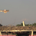 19_35-mast.jpg