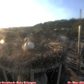19_40-nest.jpg