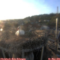 19_45-nest.jpg