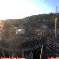 19_55-nest.jpg