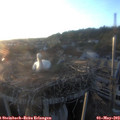 20_00-nest.jpg