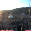 20_05-nest.jpg