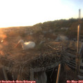 20_10-nest.jpg