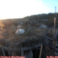 20_15-nest.jpg