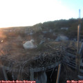 20_20-nest.jpg