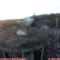 20_25-nest.jpg