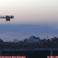 06_05-mast.jpg