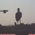 06_40-mast.jpg