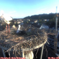 06_45-nest.jpg