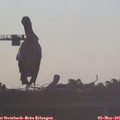 06_55-mast.jpg