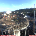 07_10-nest.jpg
