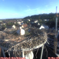 07_15-nest.jpg