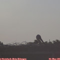 07_30-mast.jpg