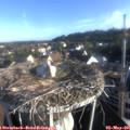 07_30-nest.jpg