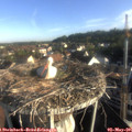 07_35-nest.jpg