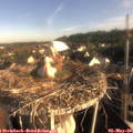 07_45-nest.jpg