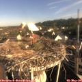 08_10-nest.jpg