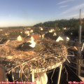 08_15-nest.jpg