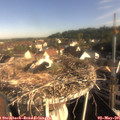 08_20-nest.jpg