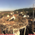 08_25-nest.jpg